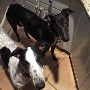 Meet your Posher, Jeanette